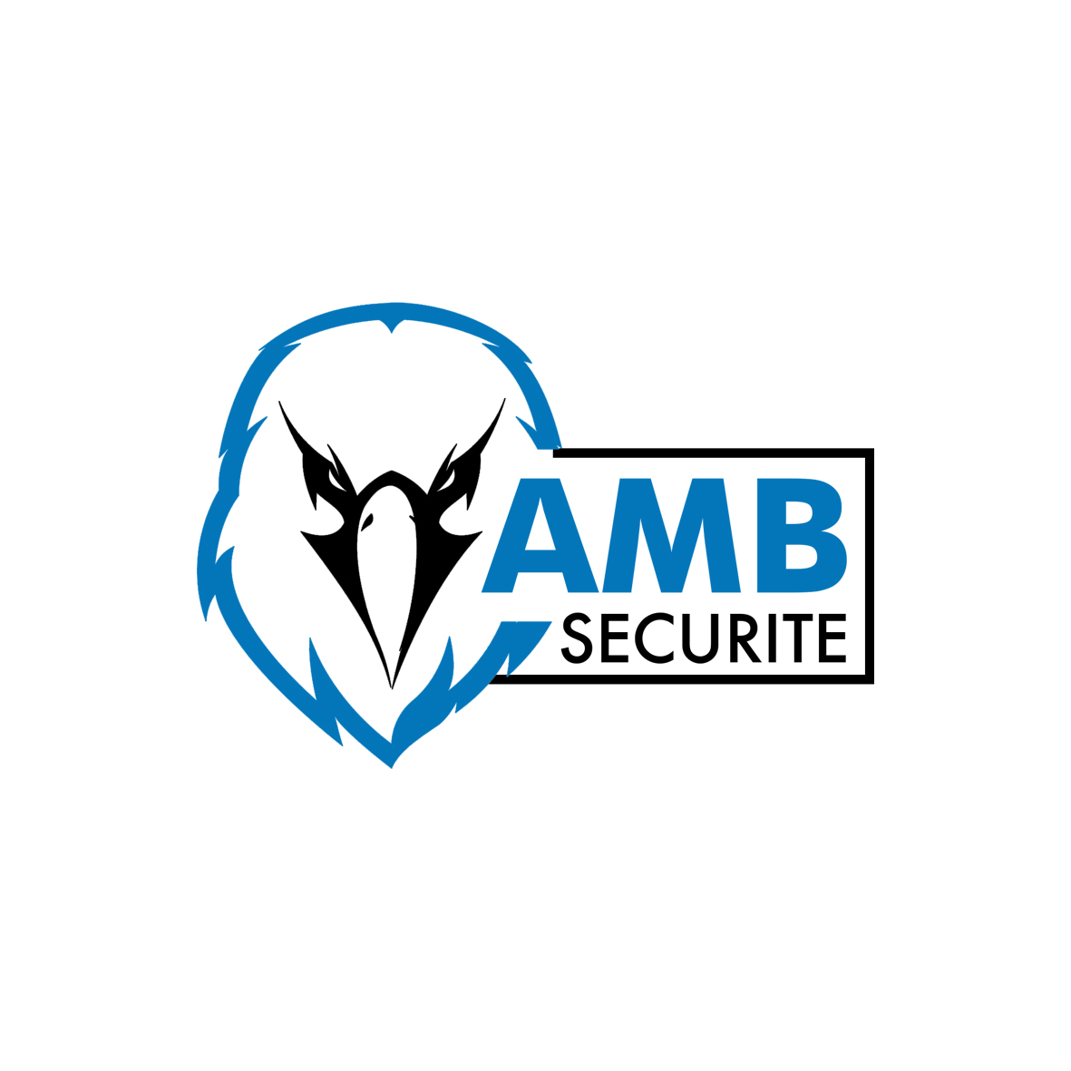 Logo Amb Securit Copie
